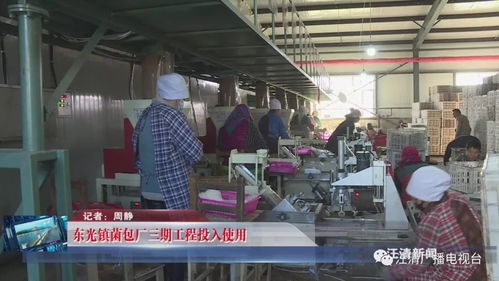 東光鎮菌包廠三期工程順利投產，技術服務賦能產業升級