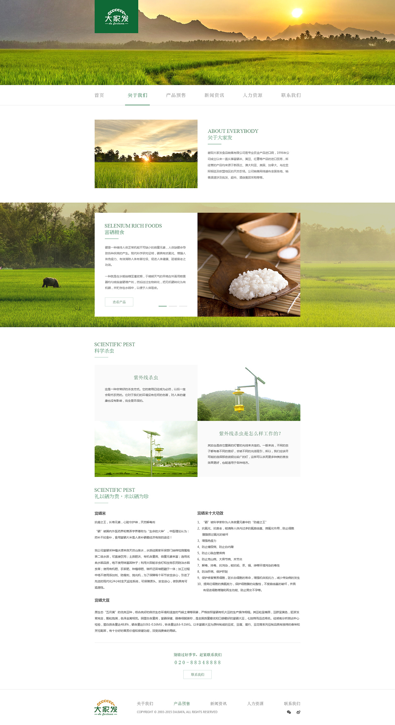 大家發食品網頁設計 如何打造引人入勝的在線食品購物體驗